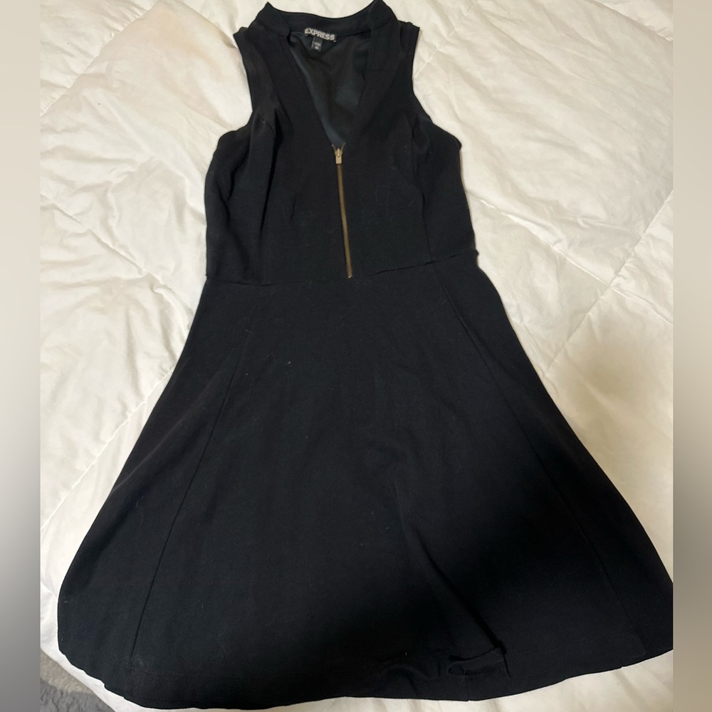 Express Women’s Dress